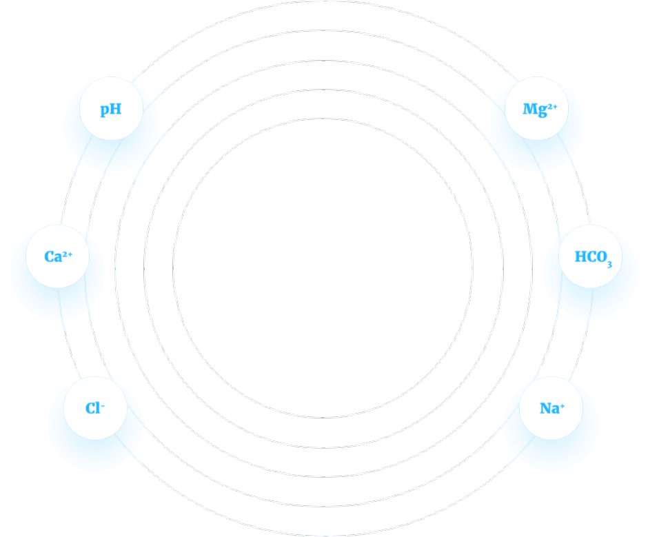 water-round